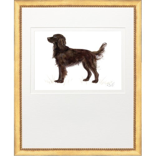 Sporting Dog Prints