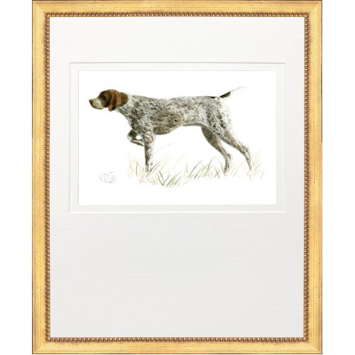 Sporting Dog Prints