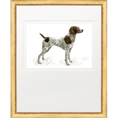 Sporting Dog Prints